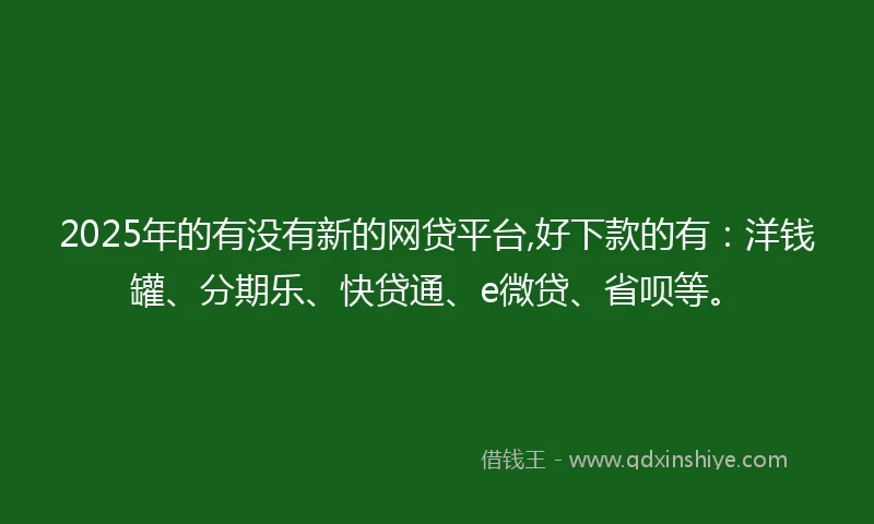 2025年的有没有新的网贷平台,好下款的有：洋钱罐、分期乐、快贷通、e微贷、省呗等。