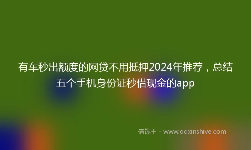 有车秒出额度的网贷不用抵押2024年推荐，总结五个手机身份证秒借现金的app