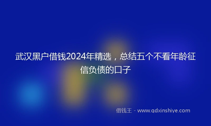 武汉黑户借钱2024年精选，总结五个不看年龄征信负债的口子