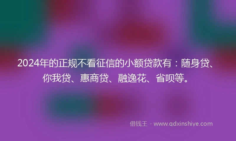 2024年的正规不看征信的小额贷款有：随身贷、你我贷、惠商贷、融逸花、省呗等。
