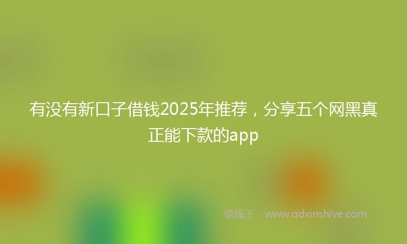有没有新口子借钱2025年推荐，分享五个网黑真正能下款的app