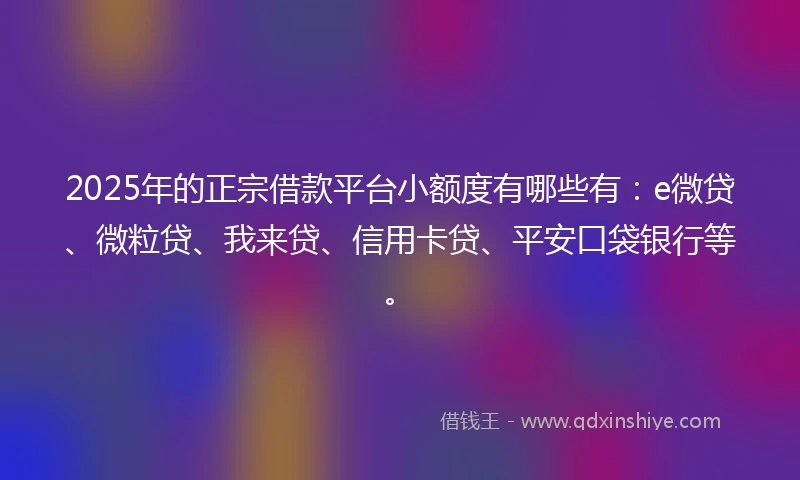 2025年的正宗借款平台小额度有哪些有：e微贷、微粒贷、我来贷、信用卡贷、平安口袋银行等。