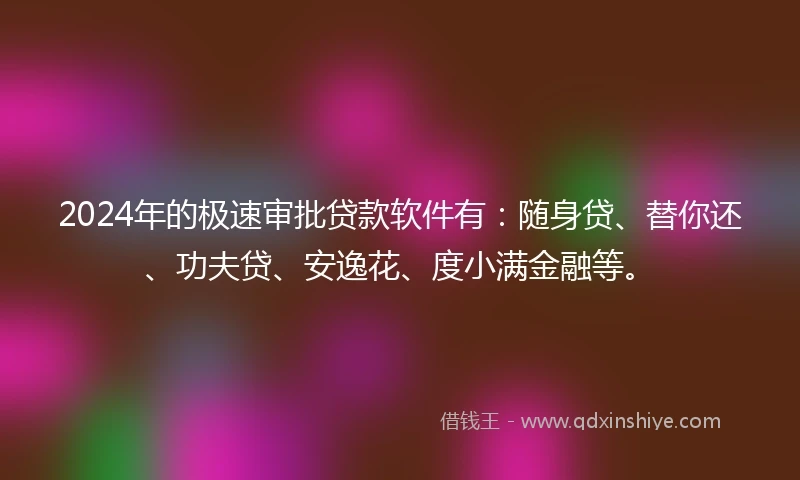 2024年的极速审批贷款软件有:随身贷、替你还、功夫贷、安逸花、度小满金融等。