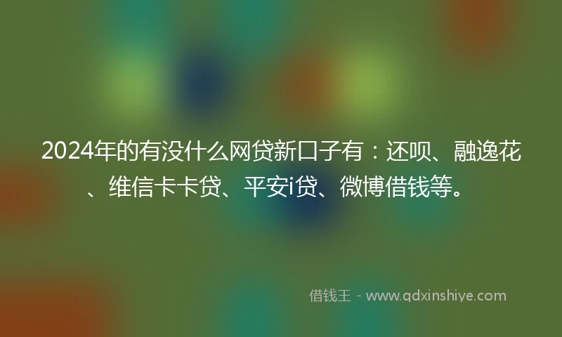 2024年的有没什么网贷新口子有：还呗、融逸花、维信卡卡贷、平安i贷、微博借钱等。