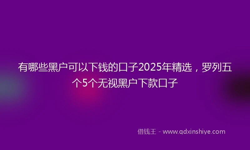 有哪些黑户可以下钱的口子2025年精选，罗列五个5个无视黑户下款口子