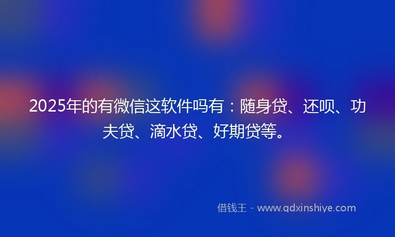 2025年的有微信这软件吗有：随身贷、还呗、功夫贷、滴水贷、好期贷等。