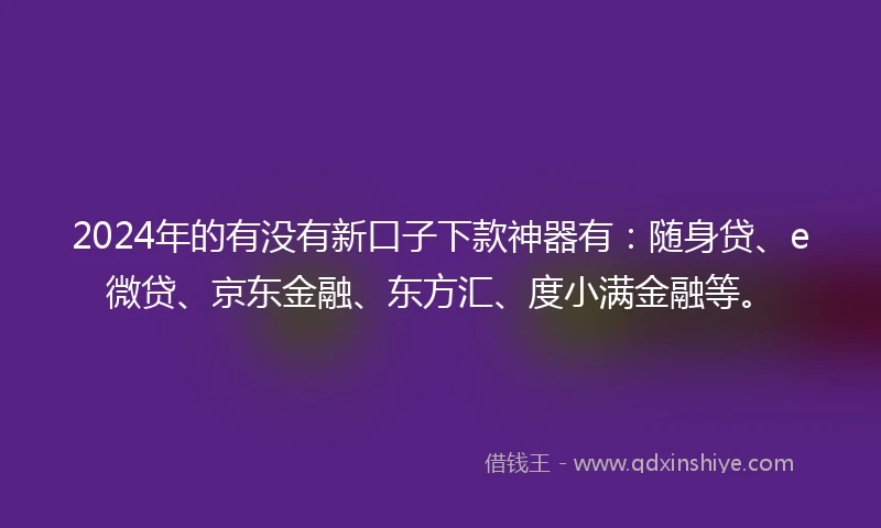 2024年的有没有新口子下款神器有：随身贷、e微贷、京东金融、东方汇、度小满金融等。