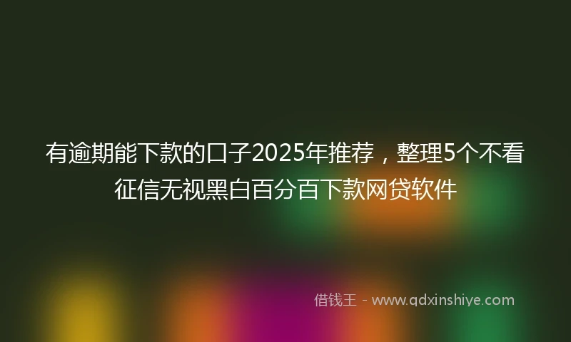 有逾期能下款的口子2025年推荐，整理5个不看征信无视黑白百分百下款网贷软件