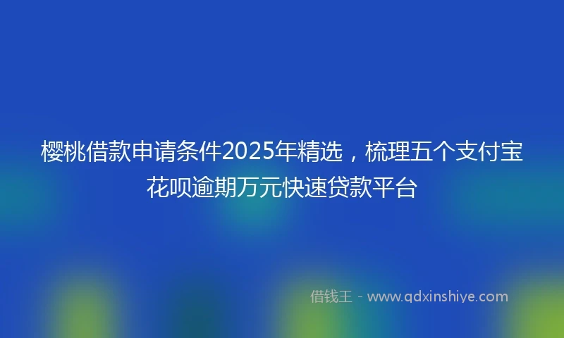 樱桃借款申请条件2025年精选，梳理五个支付宝花呗逾期万元快速贷款平台