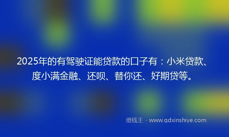 2025年的有驾驶证能贷款的口子有：小米贷款、度小满金融、还呗、替你还、好期贷等。