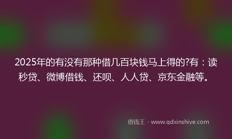 2025年的有没有那种借几百块钱马上得的?有：读秒贷、微博借钱、还呗、人人贷、京东金融等。