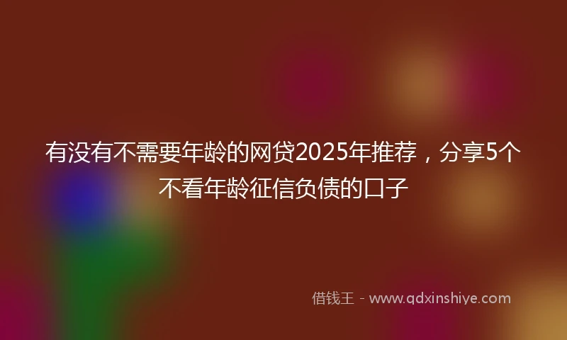 有没有不需要年龄的网贷2025年推荐，分享5个不看年龄征信负债的口子
