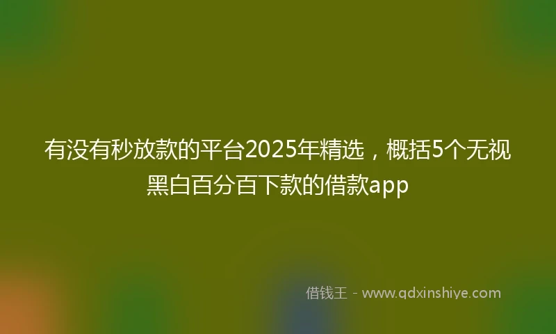 有没有秒放款的平台2025年精选，概括5个无视黑白百分百下款的借款app