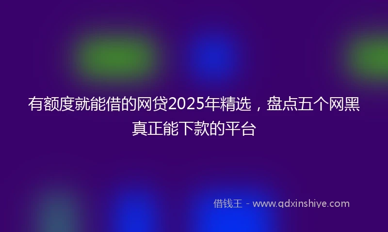 有额度就能借的网贷2025年精选，盘点五个网黑真正能下款的平台