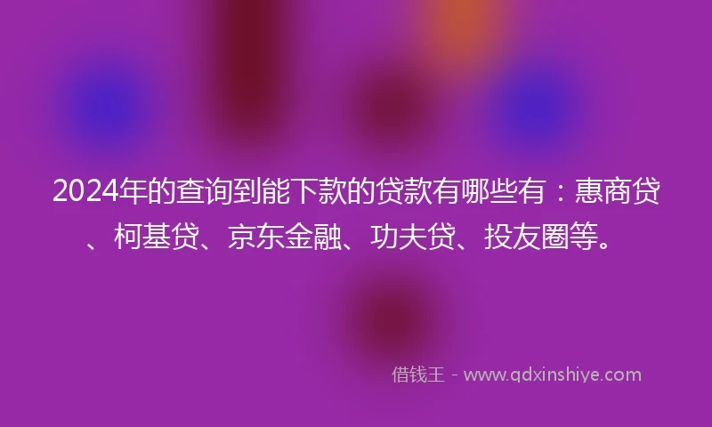 2024年的查询到能下款的贷款有哪些有：惠商贷、柯基贷、京东金融、功夫贷、投友圈等。