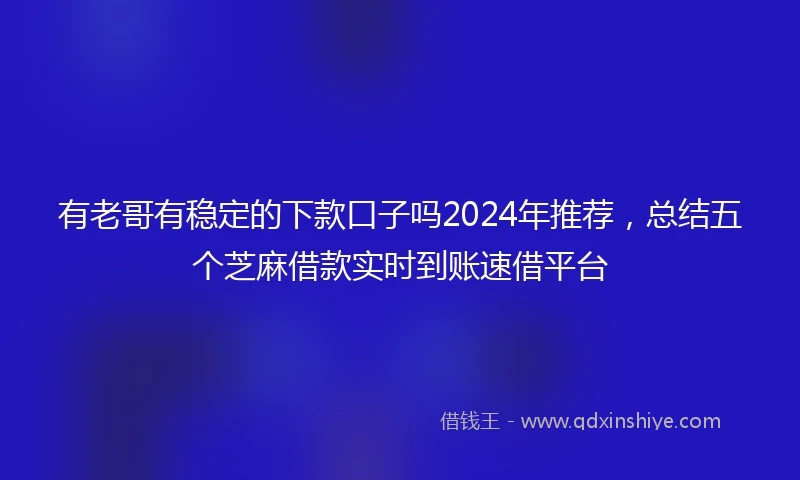 有老哥有稳定的下款口子吗2024年推荐，总结五个芝麻借款实时到账速借平台