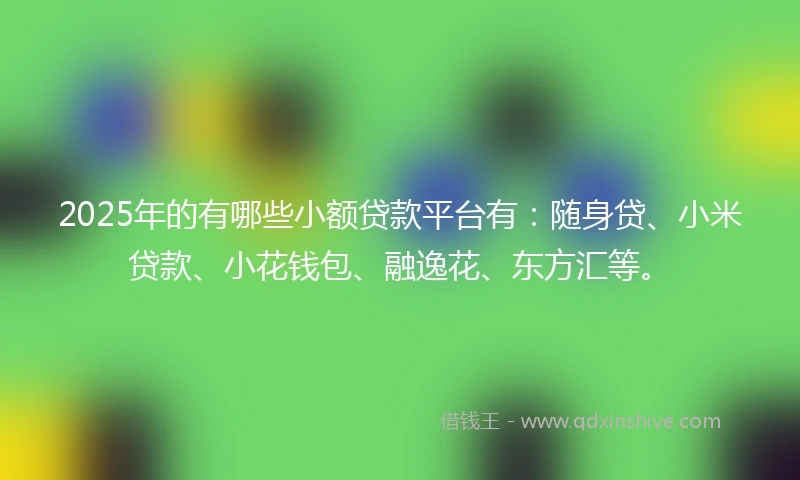 2025年的有哪些小额贷款平台有：随身贷、小米贷款、小花钱包、融逸花、东方汇等。