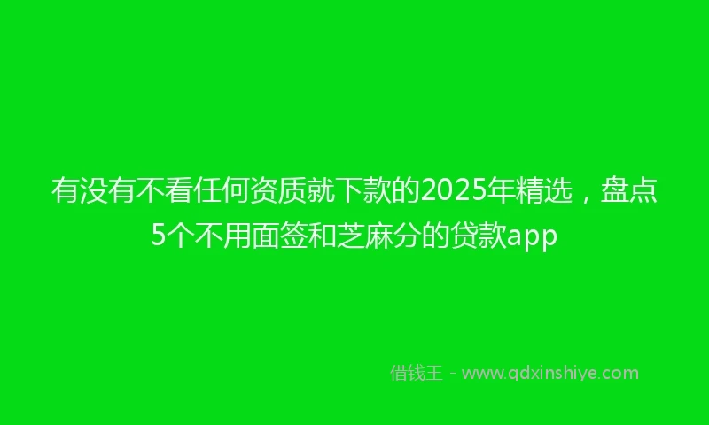 有没有不看任何资质就下款的2025年精选，盘点5个不用面签和芝麻分的贷款app