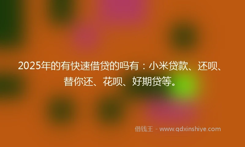 2025年的有快速借贷的吗有：小米贷款、还呗、替你还、花呗、好期贷等。