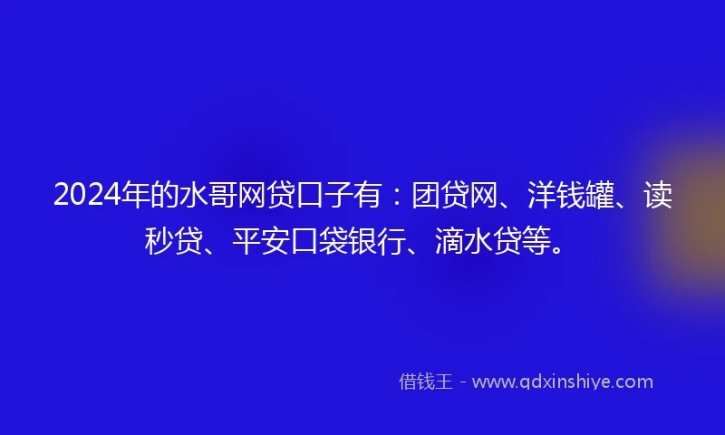 2024年的水哥网贷口子有：团贷网、洋钱罐、读秒贷、平安口袋银行、滴水贷等。