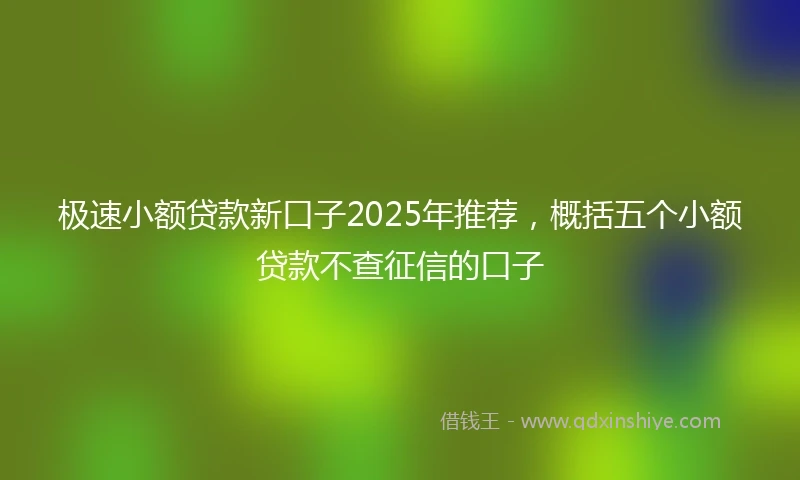 极速小额贷款新口子2025年推荐，概括五个小额贷款不查征信的口子