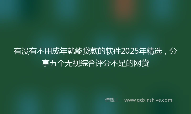 有没有不用成年就能贷款的软件2025年精选，分享五个无视综合评分不足的网贷