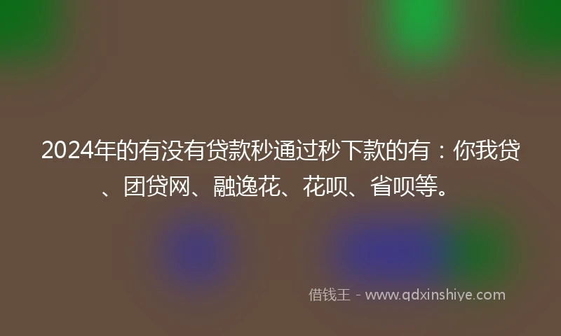 2024年的有没有贷款秒通过秒下款的有：你我贷、团贷网、融逸花、花呗、省呗等。