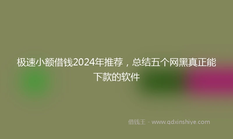 极速小额借钱2024年推荐，总结五个网黑真正能下款的软件