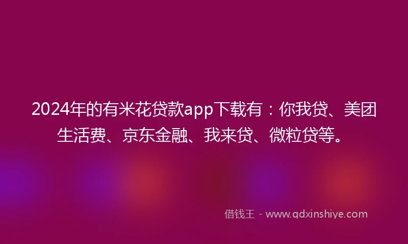 2024年的有米花贷款app下载有：你我贷、美团生活费、京东金融、我来贷、微粒贷等。
