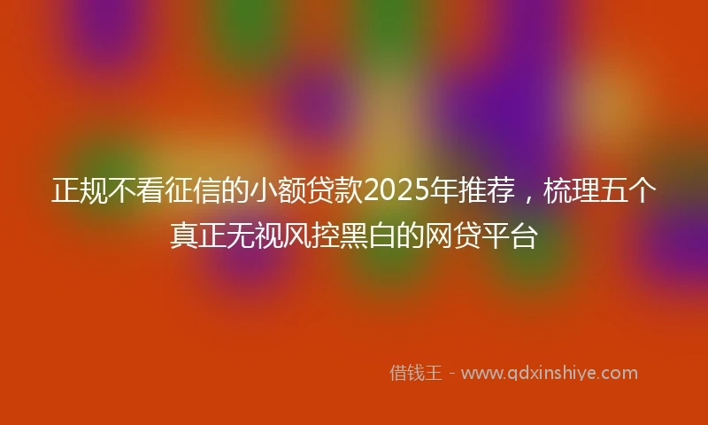 正规不看征信的小额贷款2025年推荐,梳理五个真正无视风控黑白的网贷平台