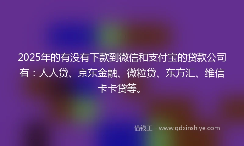 2025年的有没有下款到微信和支付宝的贷款公司有：人人贷、京东金融、微粒贷、东方汇、维信卡卡贷等。