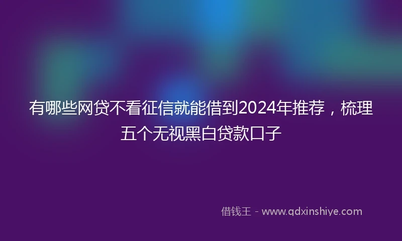 有哪些网贷不看征信就能借到2024年推荐，梳理五个无视黑白贷款口子