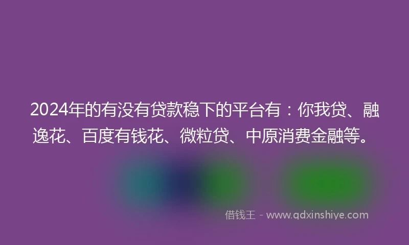 2024年的有没有贷款稳下的平台有：你我贷、融逸花、百度有钱花、微粒贷、中原消费金融等。