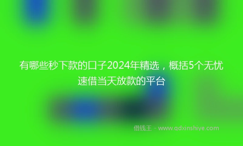 有哪些秒下款的口子2024年精选，概括5个无忧速借当天放款的平台
