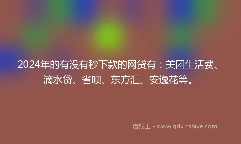 2024年的有没有秒下款的网贷有：美团生活费、滴水贷、省呗、东方汇、安逸花等。