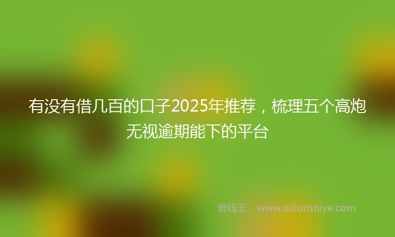 有没有借几百的口子2025年推荐，梳理五个高炮无视逾期能下的平台