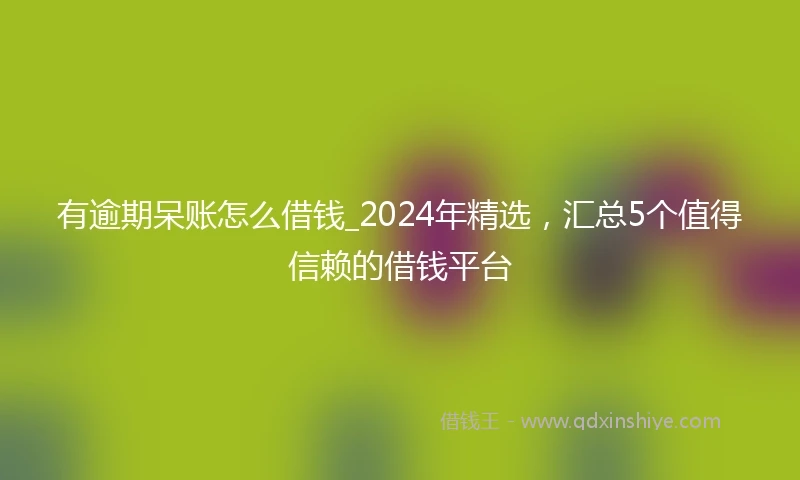 有逾期呆账怎么借钱_2024年精选，汇总5个值得信赖的借钱平台
