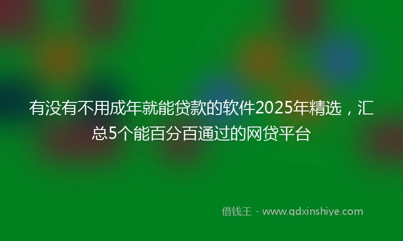 有没有不用成年就能贷款的软件2025年精选，汇总5个能百分百通过的网贷平台