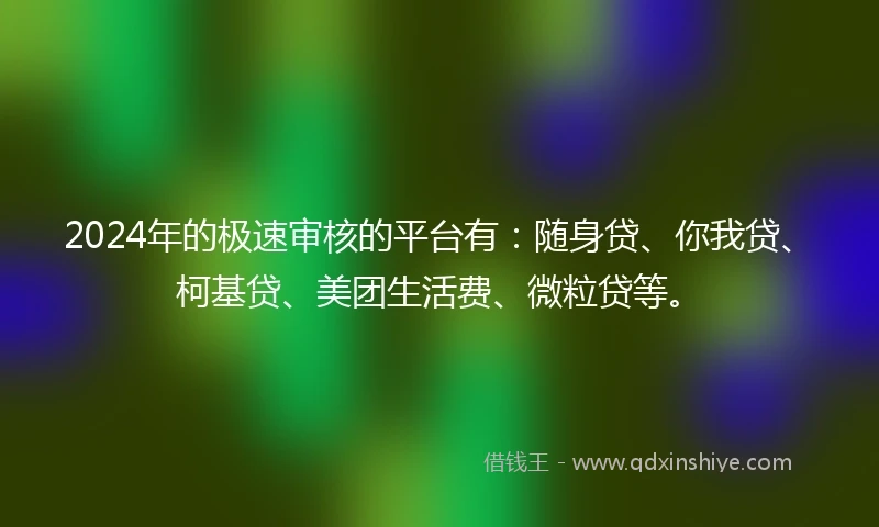 2024年的极速审核的平台有：随身贷、你我贷、柯基贷、美团生活费、微粒贷等。