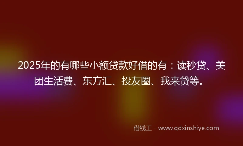 2025年的有哪些小额贷款好借的有：读秒贷、美团生活费、东方汇、投友圈、我来贷等。
