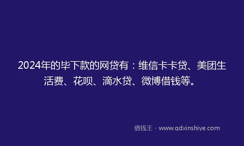 2024年的毕下款的网贷有：维信卡卡贷、美团生活费、花呗、滴水贷、微博借钱等。