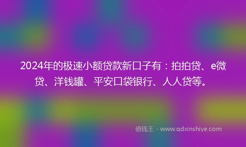 2024年的极速小额贷款新口子有：拍拍贷、e微贷、洋钱罐、平安口袋银行、人人贷等。