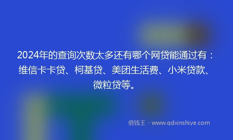 2024年的查询次数太多还有哪个网贷能通过有：维信卡卡贷、柯基贷、美团生活费、小米贷款、微粒贷等。