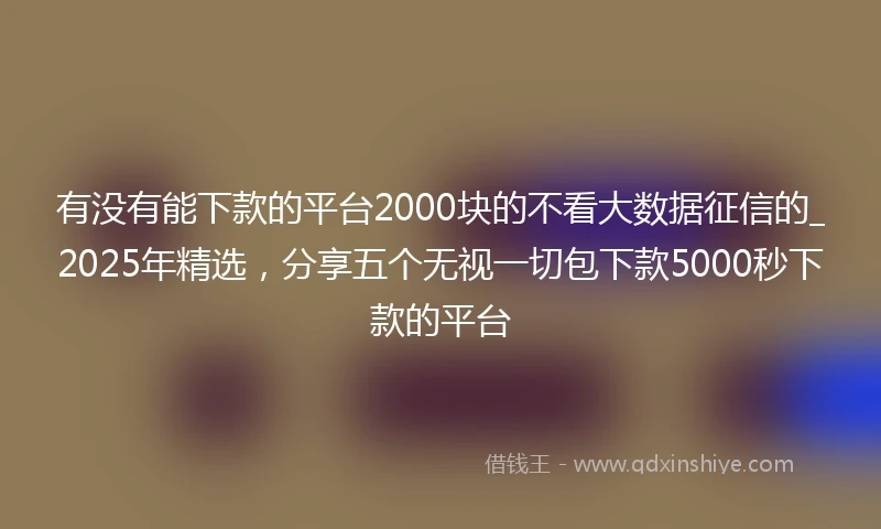 有没有能下款的平台2000块的不看大数据征信的_2025年精选，分享五个无视一切包下款5000秒下款的平台