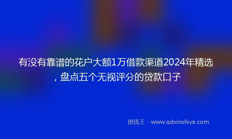 有没有靠谱的花户大额1万借款渠道2024年精选，盘点五个无视评分的贷款口子