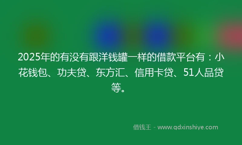 2025年的有没有跟洋钱罐一样的借款平台有：小花钱包、功夫贷、东方汇、信用卡贷、51人品贷等。