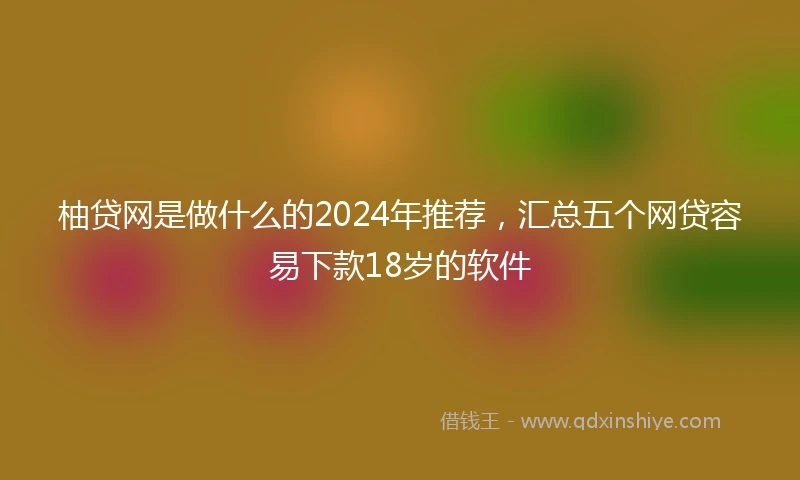 柚贷网是做什么的2024年推荐，汇总五个网贷容易下款18岁的软件