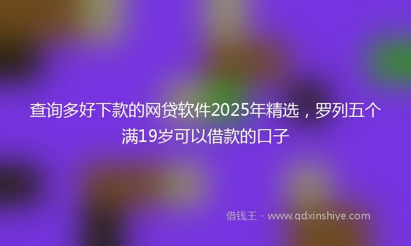 查询多好下款的网贷软件2025年精选，罗列五个满19岁可以借款的口子