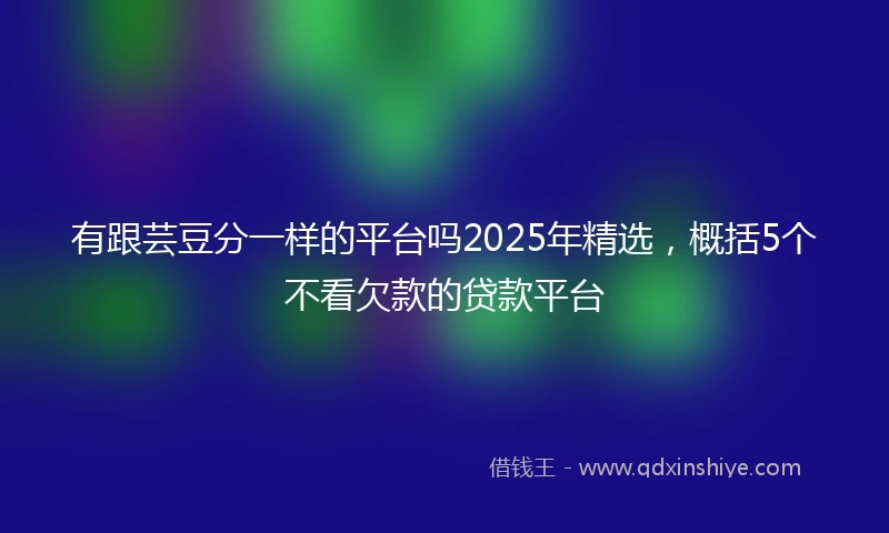 有跟芸豆分一样的平台吗2025年精选，概括5个不看欠款的贷款平台