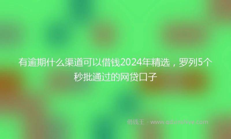 有逾期什么渠道可以借钱2024年精选，罗列5个秒批通过的网贷口子